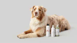 Read more about the article Pet-Safe Eco-Friendly Cleaning Products: Protecting Paws and Noses Without Compromise
